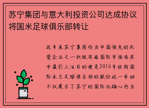 苏宁集团与意大利投资公司达成协议将国米足球俱乐部转让